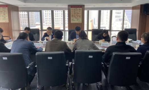 財(cái)務(wù)核算中心召開2023年外派財(cái)務(wù)負(fù)責(zé)人3月月度財(cái)務(wù)例會